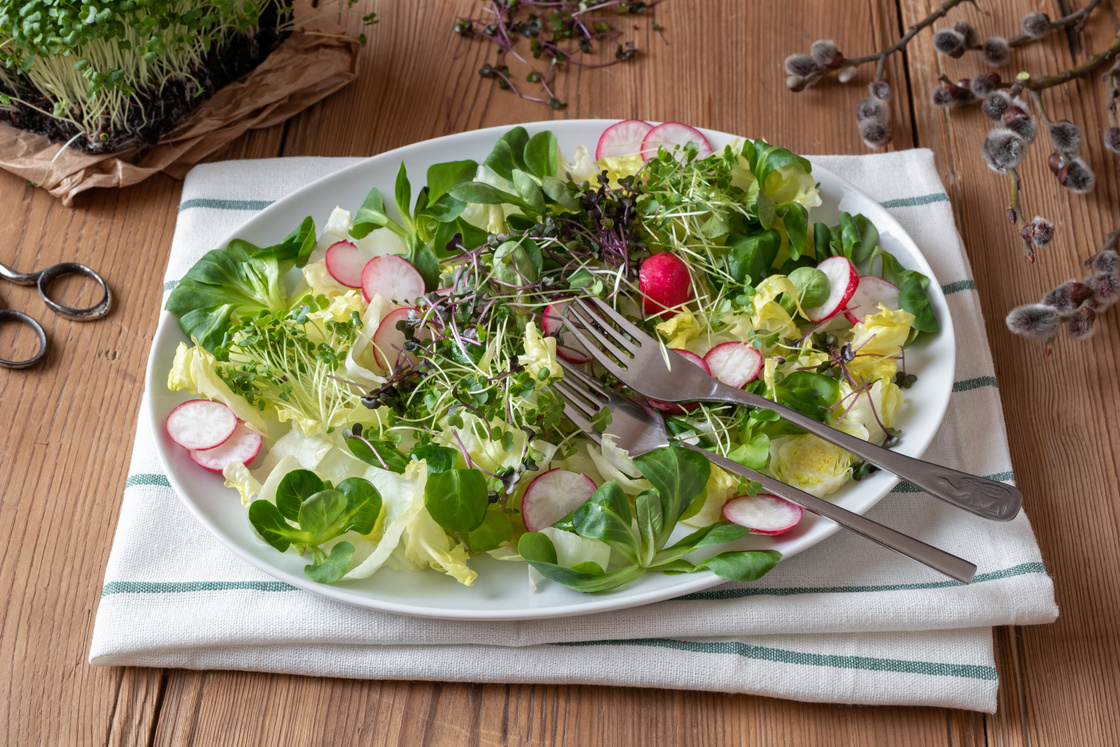 Salad with Fresh Microgreens